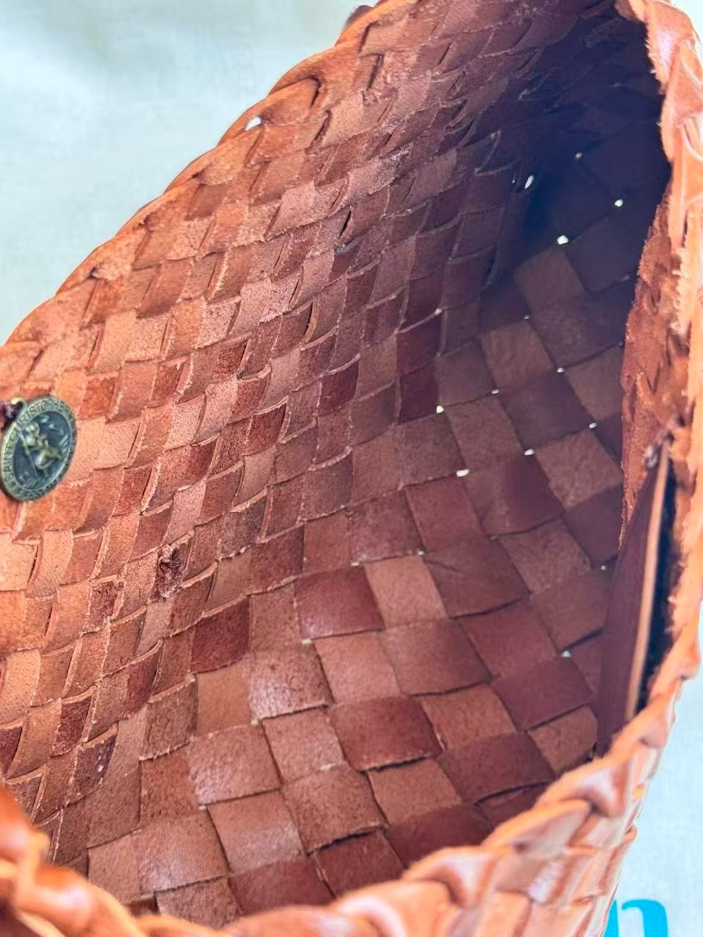 Rosanna Shoulder Bag in brown Dragon Diffusion - Picture 5 of 11